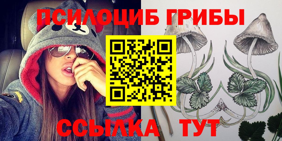Галлюциногенные грибы Psilocybine cubensis  продажа наркотиков  Галлюциногенные грибы Magic Shrooms  Богородск  Вход с VPN 