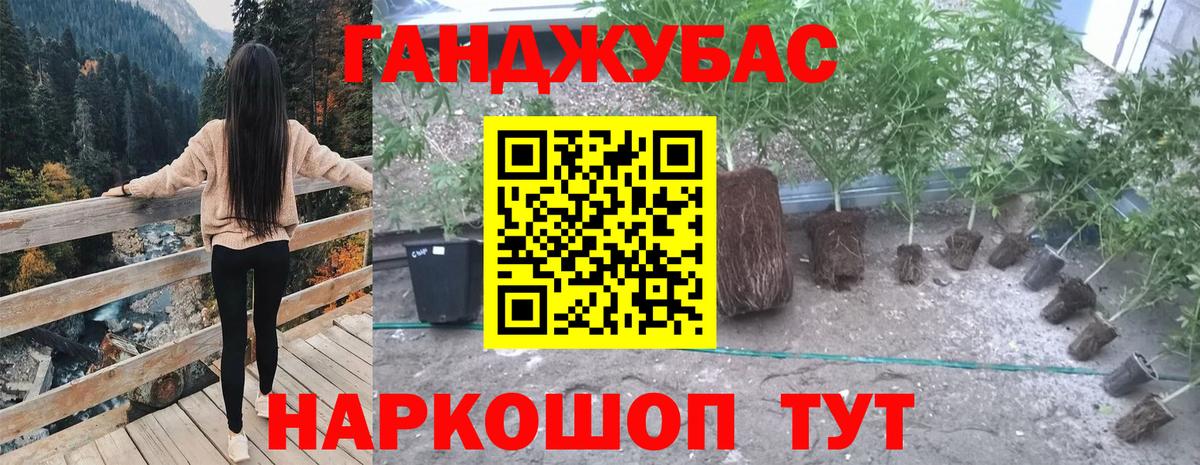 Конопля ГИДРОПОН Богородск
